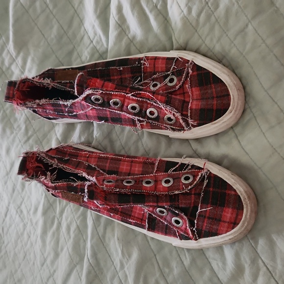 Blowfish - Picture 1 of 3